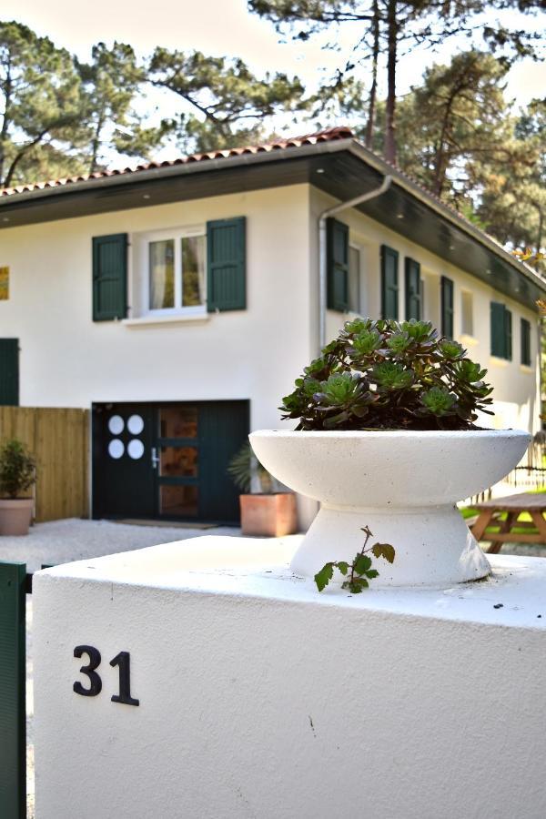 Julia Blue, Villa Hostal Naou Hossegor - Sauna - Salle De Sport - Wifi - Netflix Soorts-Hossegor Ngoại thất bức ảnh